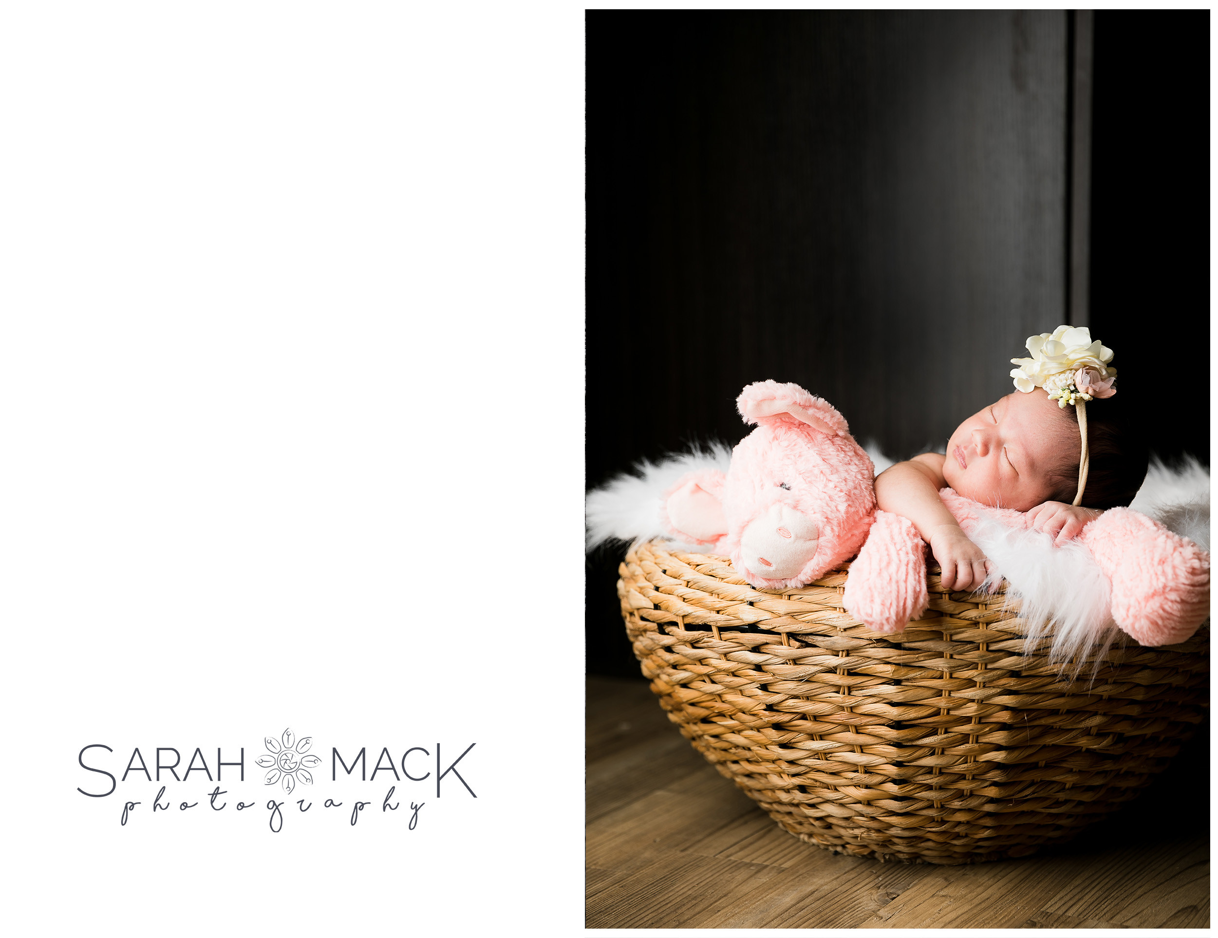 Orange County Newborn Photography