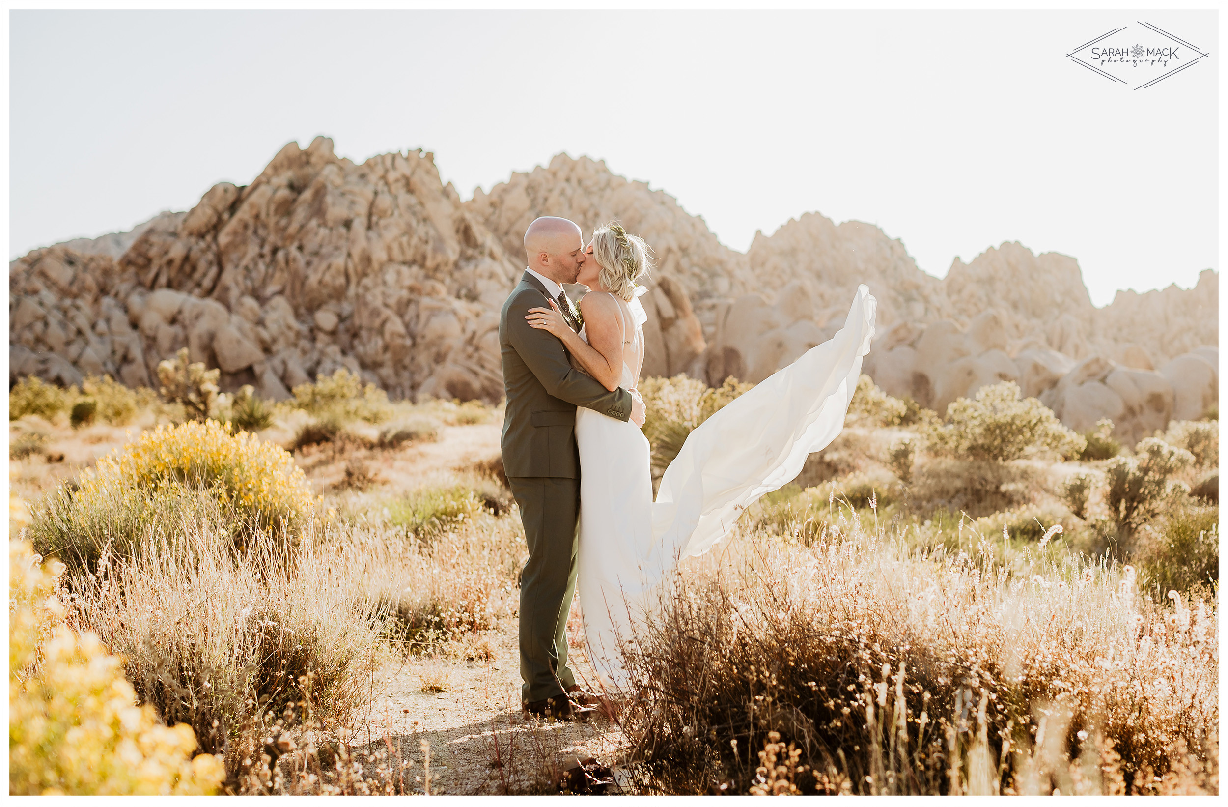 DC Joshua Tree Wedding Elopement Photography