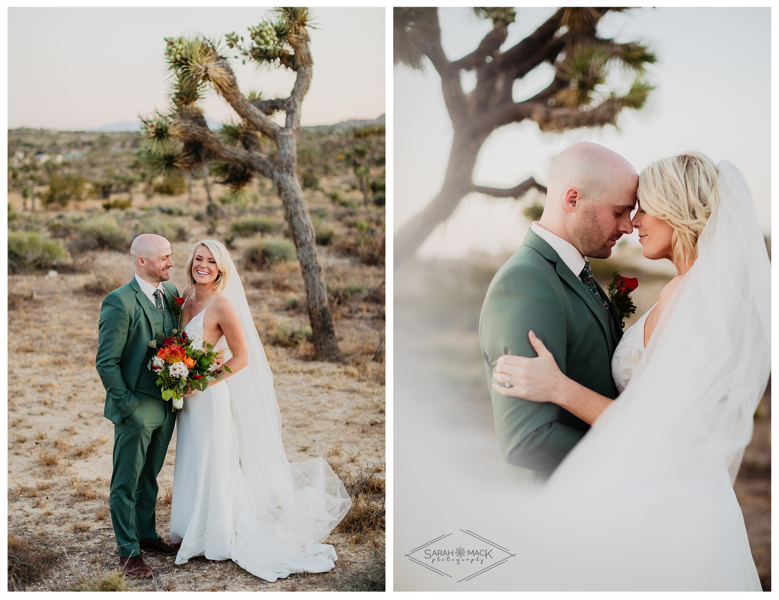 DC Joshua Tree Wedding Elopement Photography