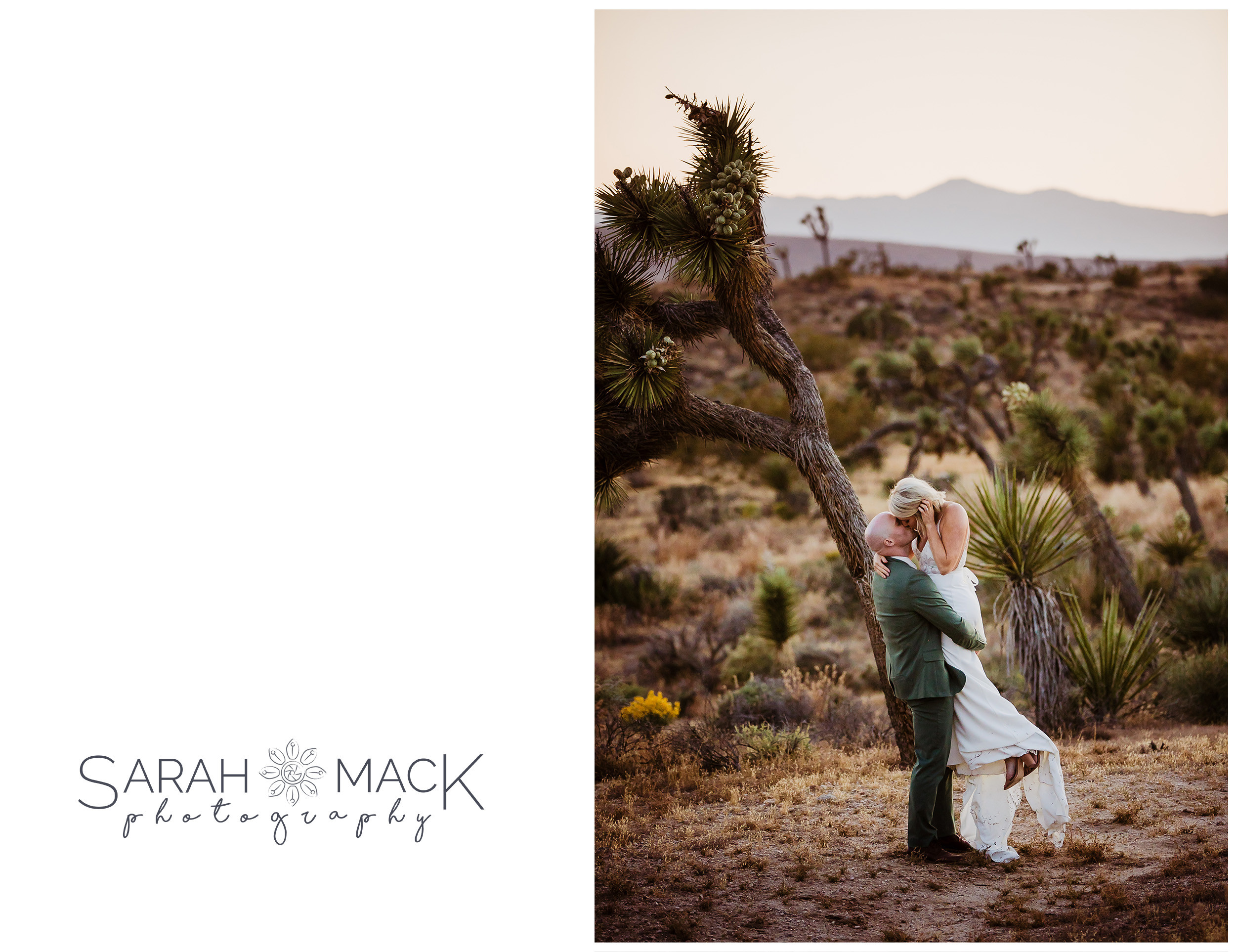 DC Joshua Tree Wedding Elopement Photography