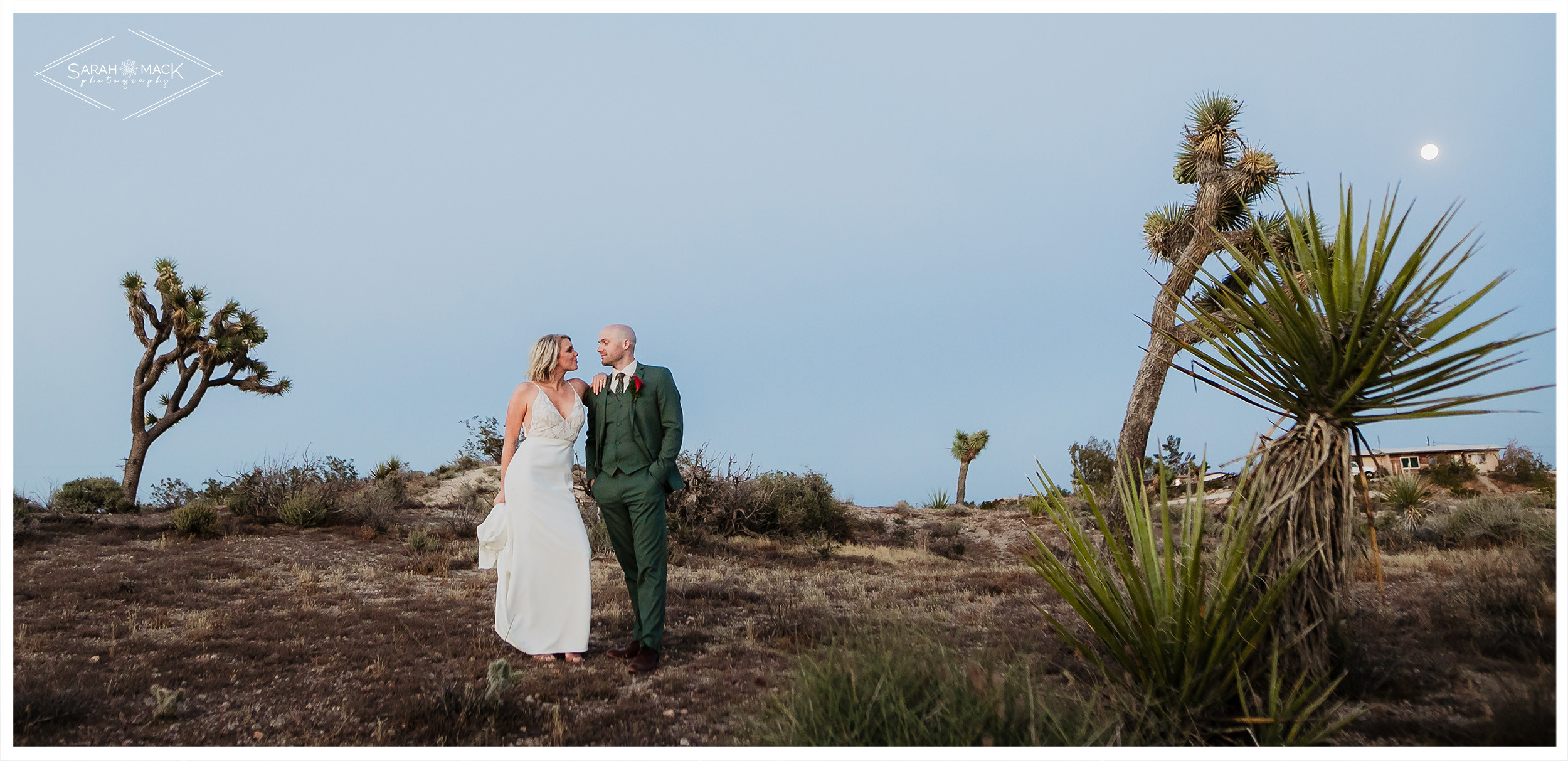 DC Joshua Tree Wedding Elopement Photography