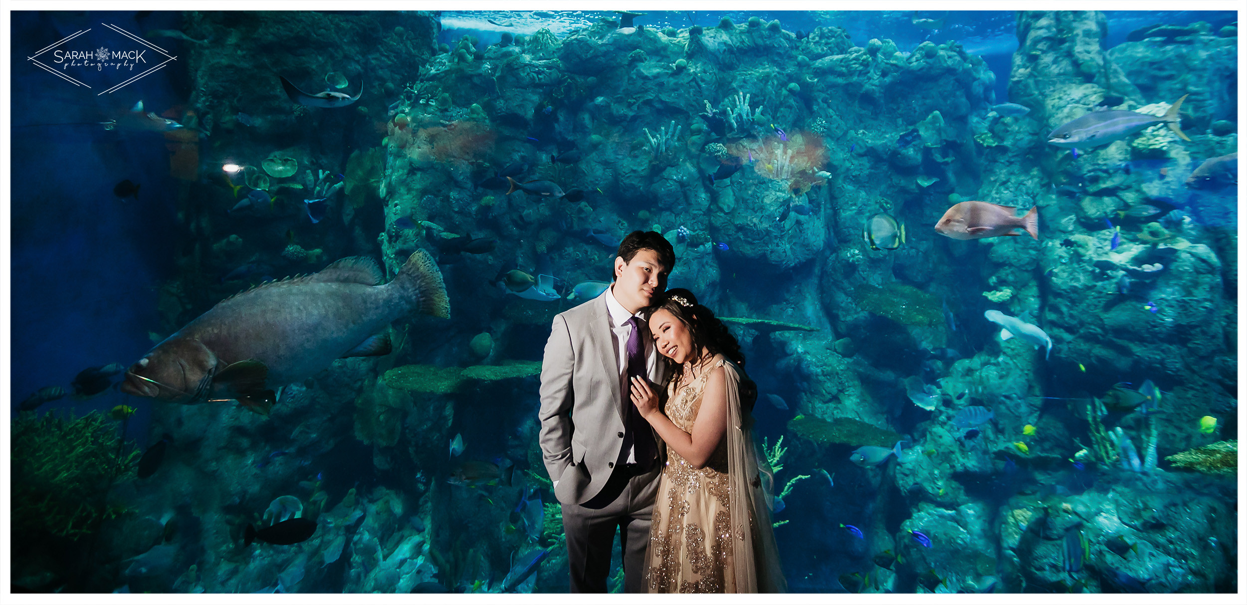 MD Long Beach Aquarium Wedding Photography