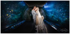 MD Long Beach Aquarium Wedding Photography
