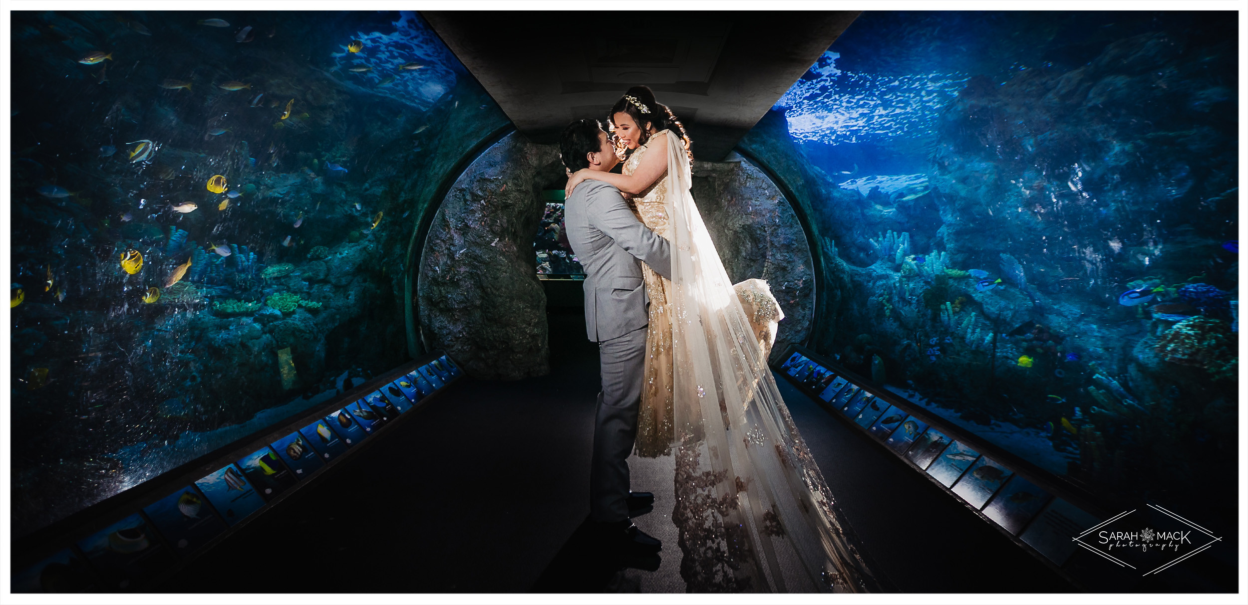 MD Long Beach Aquarium Wedding Photography