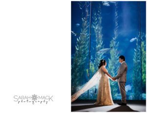 MD Long Beach Aquarium Wedding Photography