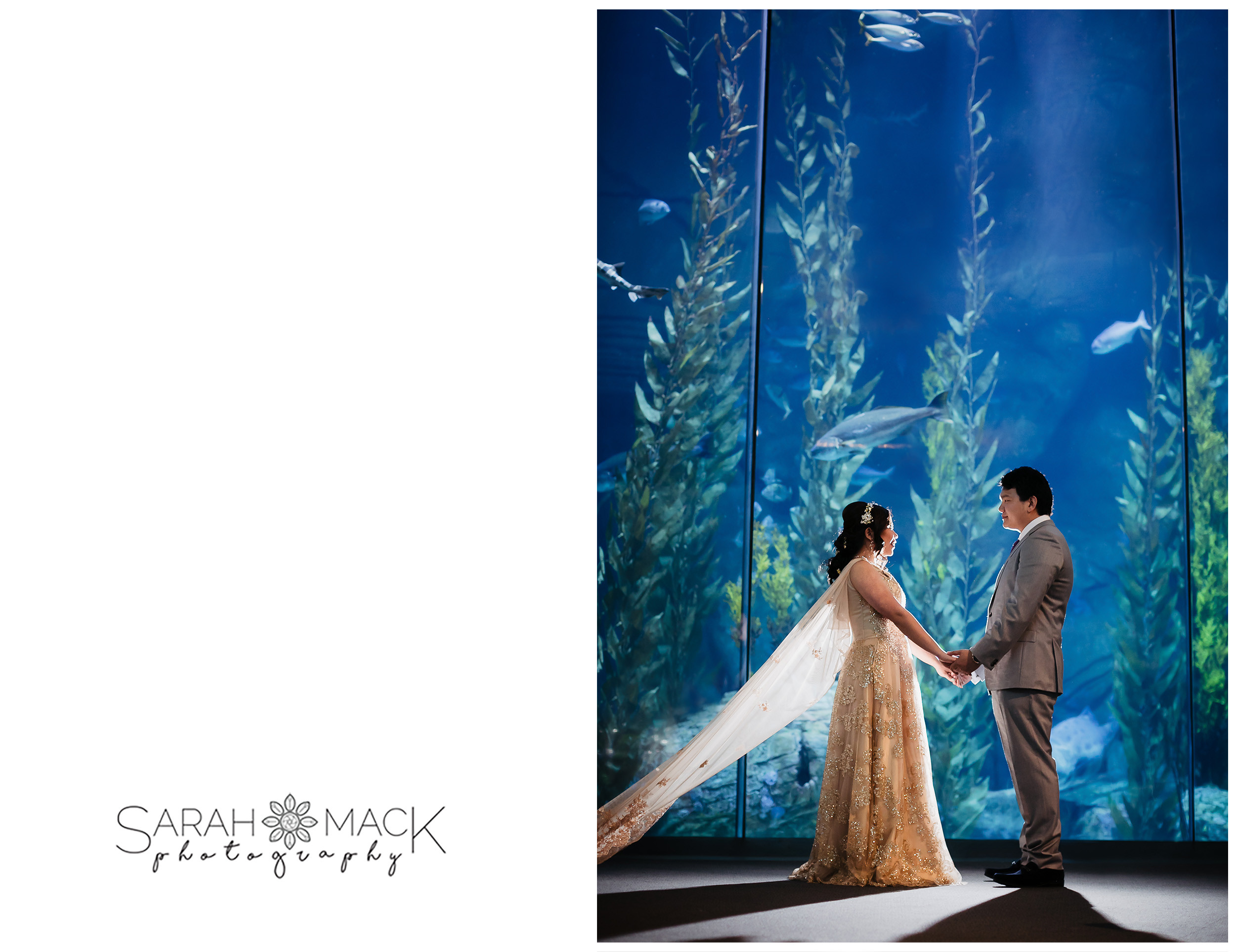 MD Long Beach Aquarium Wedding Photography