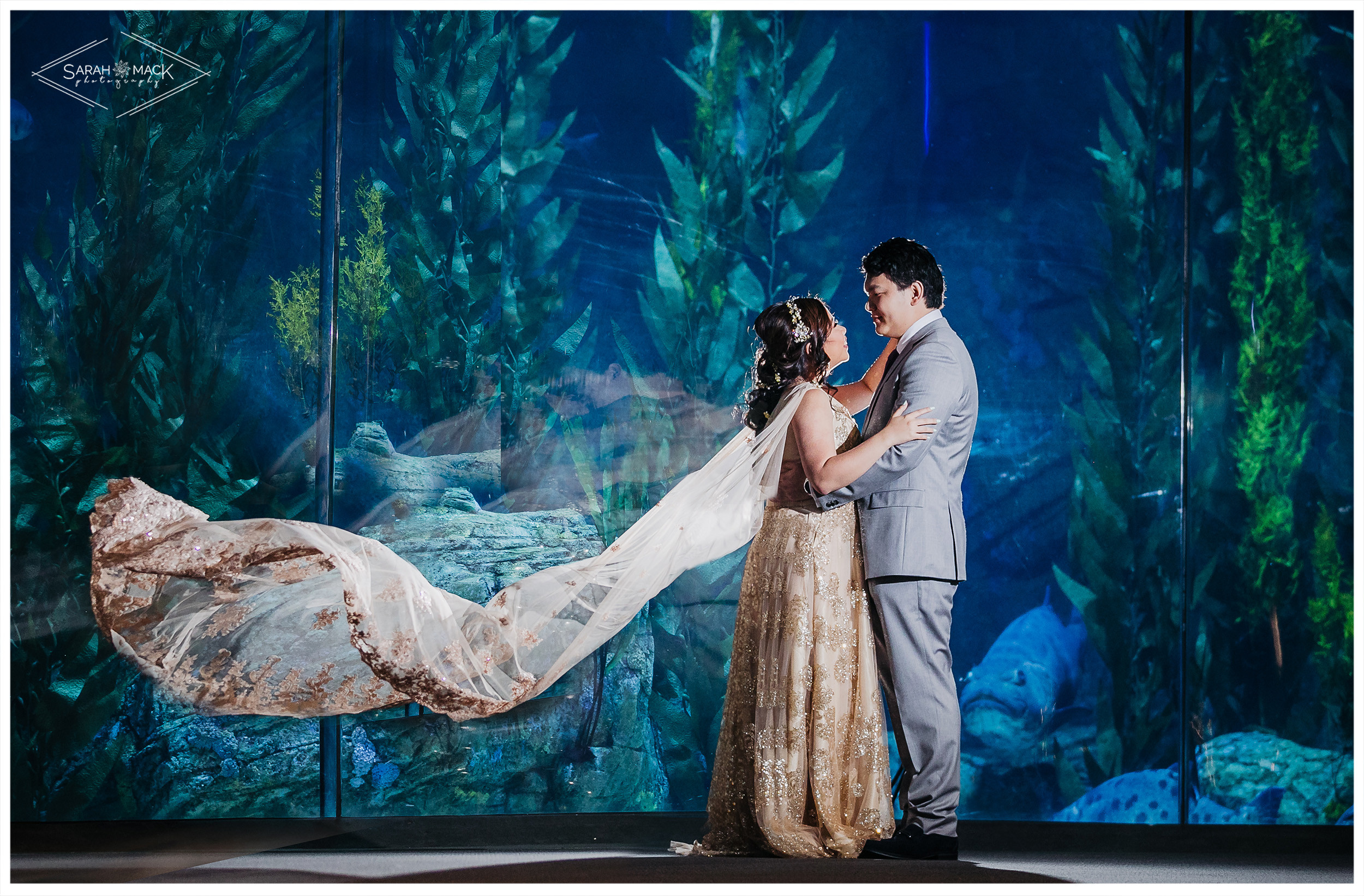 MD Long Beach Aquarium Wedding Photography