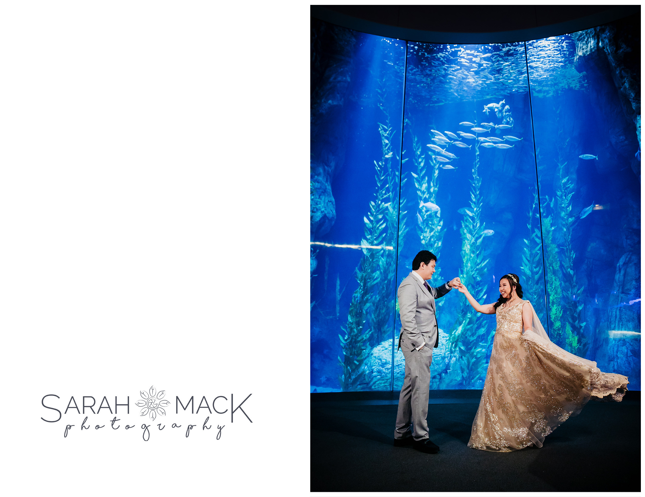 MD Long Beach Aquarium Wedding Photography