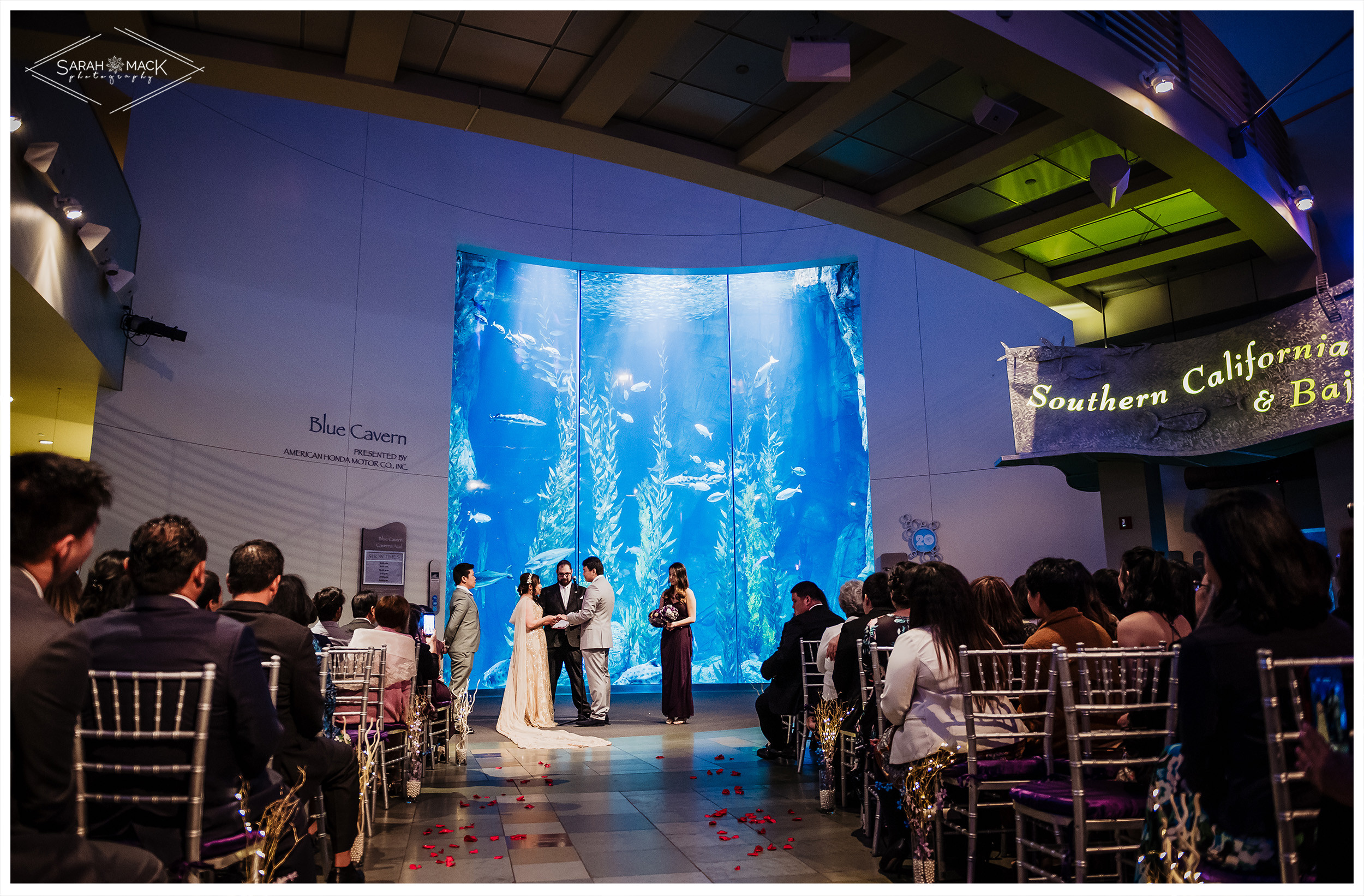 MD Long Beach Aquarium Wedding Photography