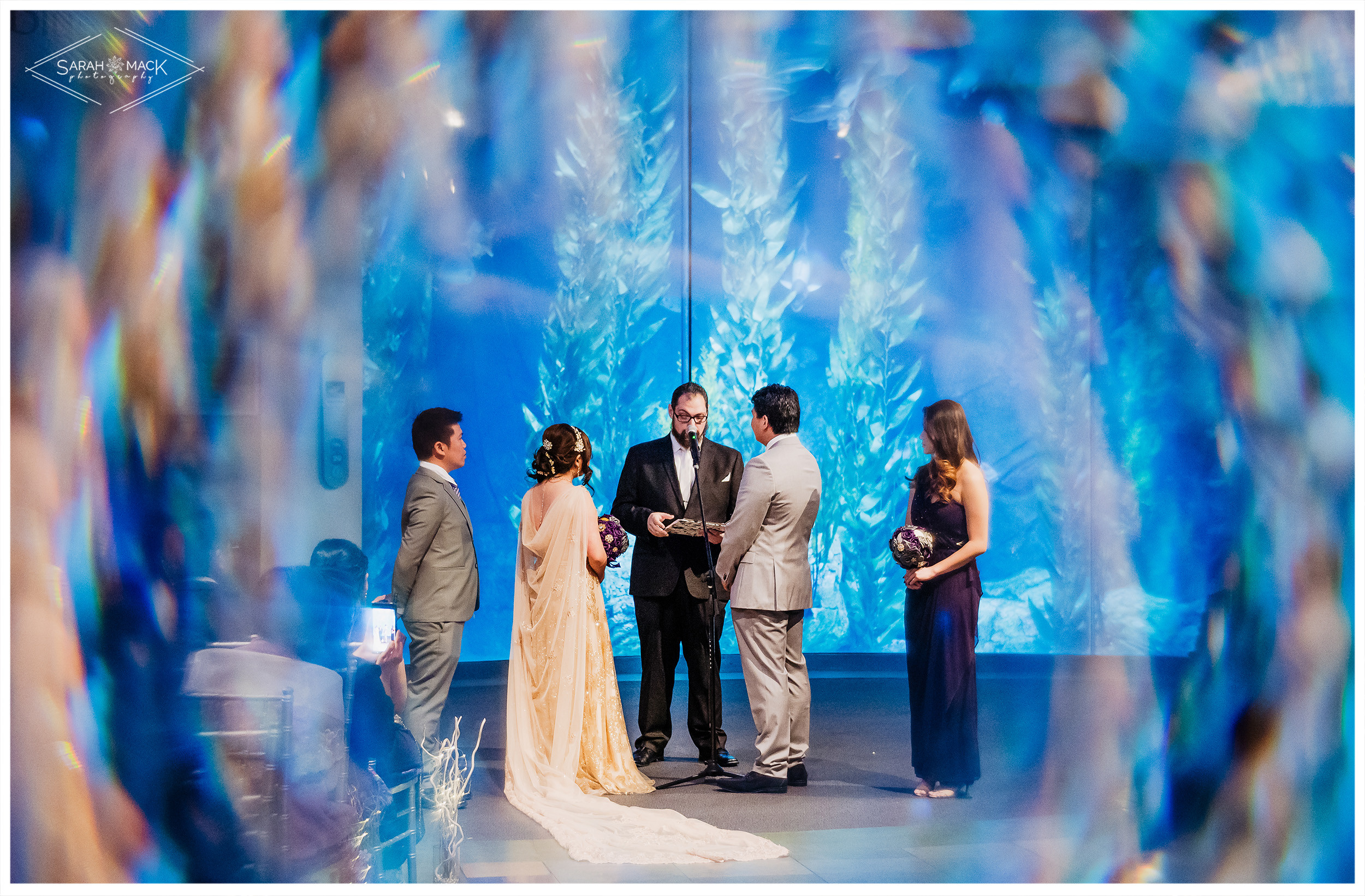 MD Long Beach Aquarium Wedding Photography