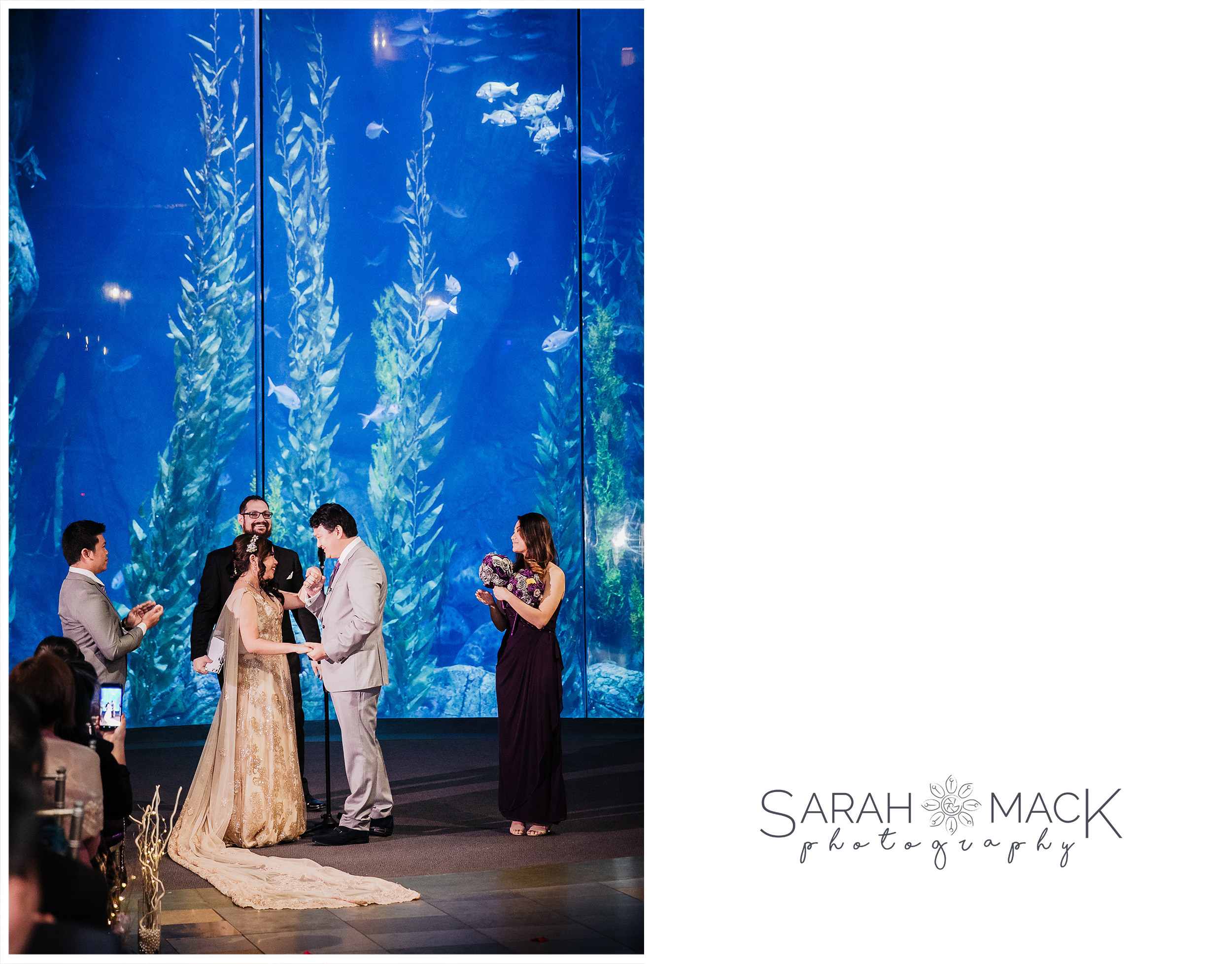 MD Long Beach Aquarium Wedding Photography