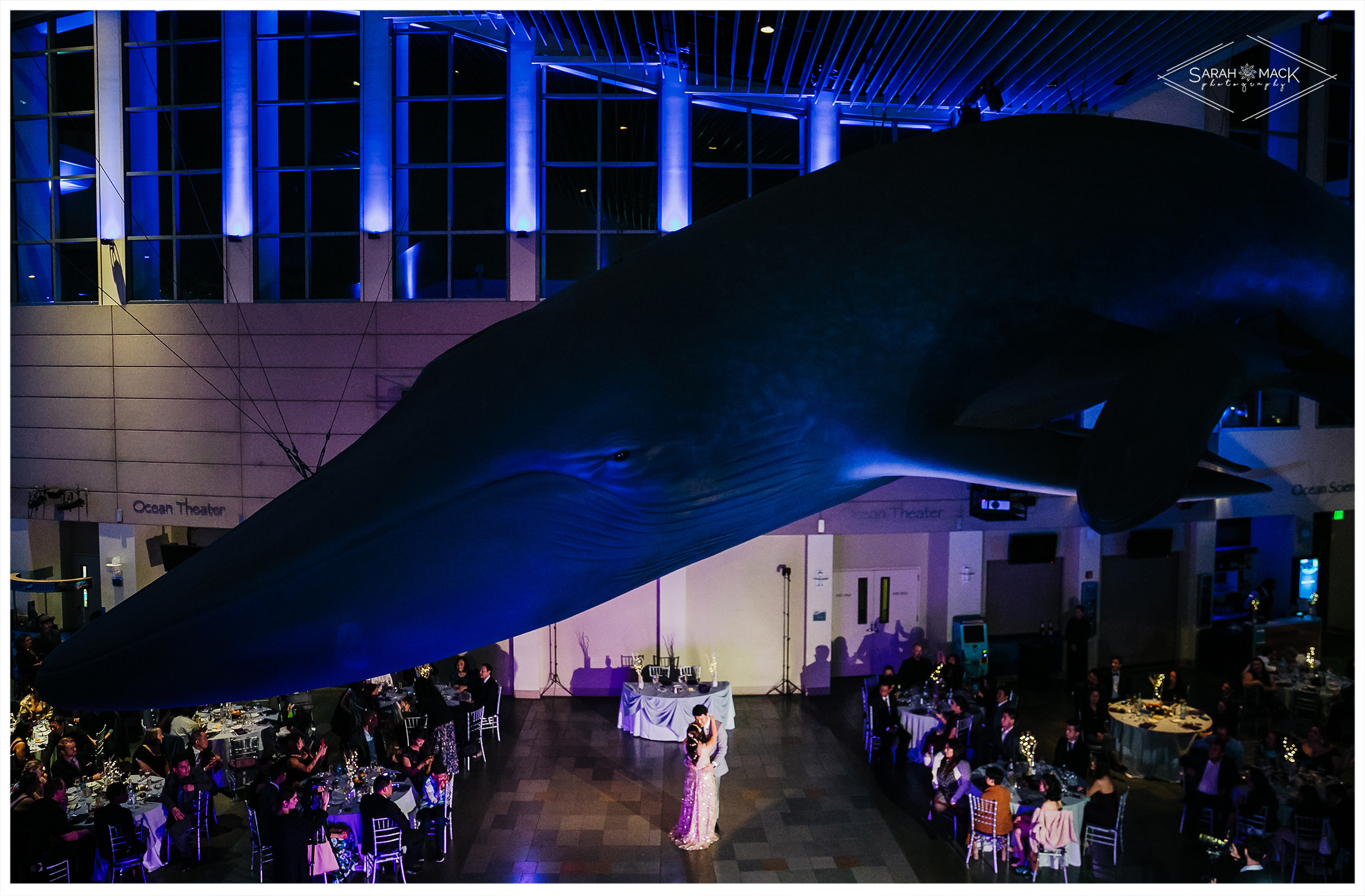 MD Long Beach Aquarium Wedding Photography