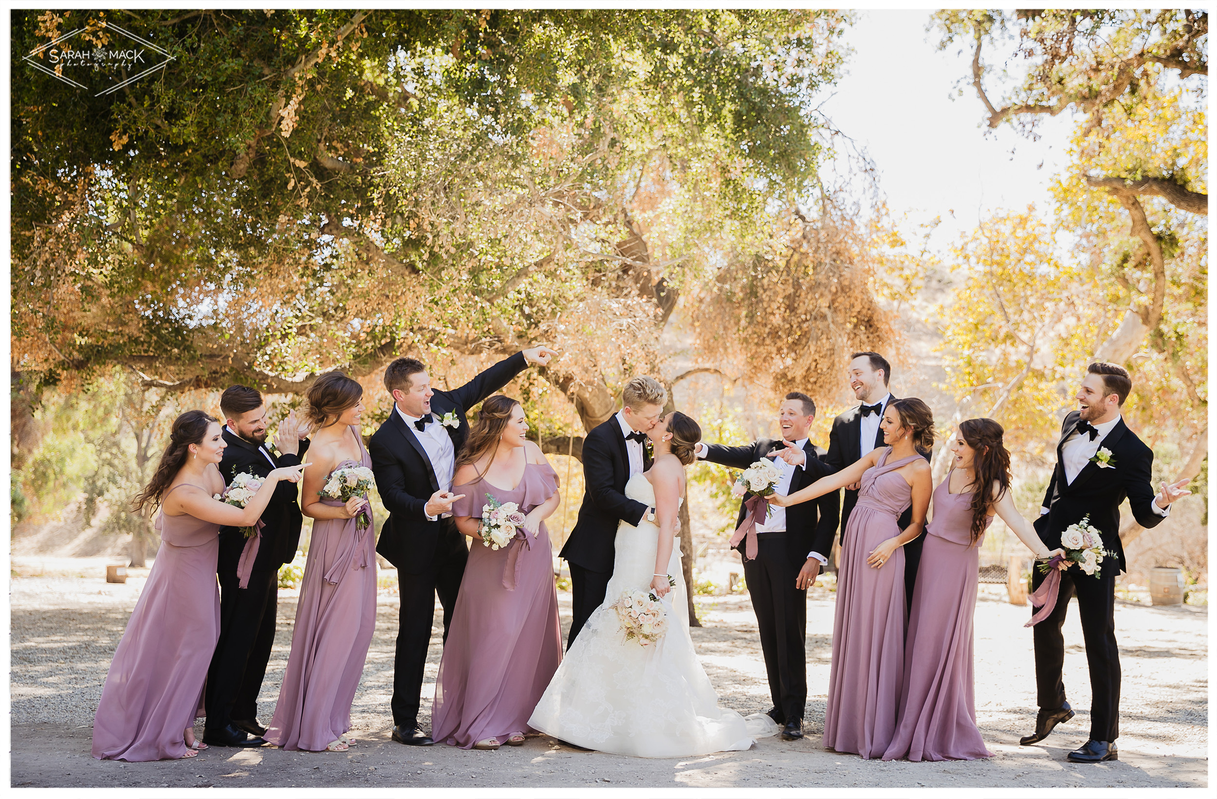 LG Triunfo Creek Vineyard Agoura Hills Wedding Photography