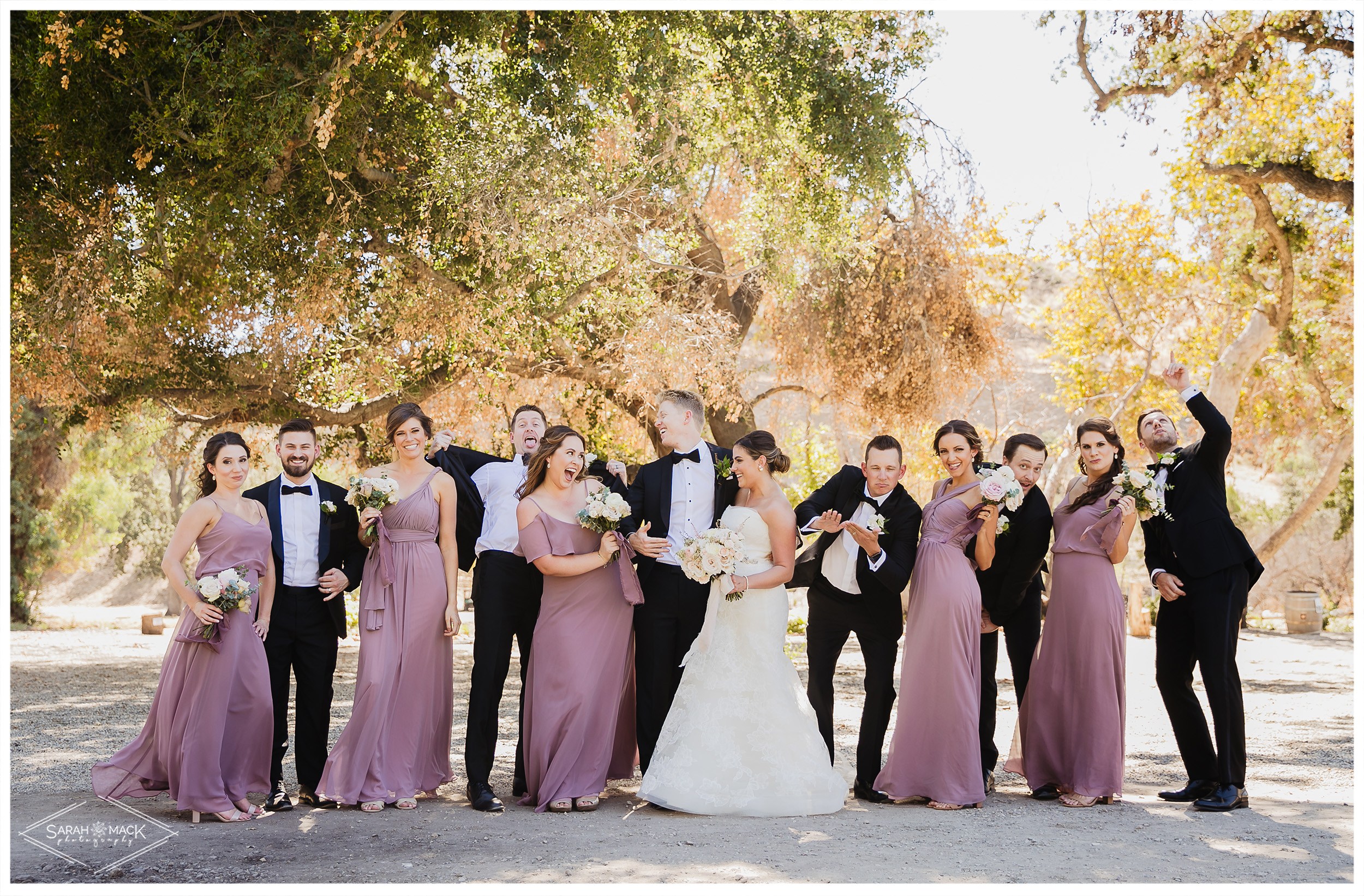 LG Triunfo Creek Vineyard Agoura Hills Wedding Photography