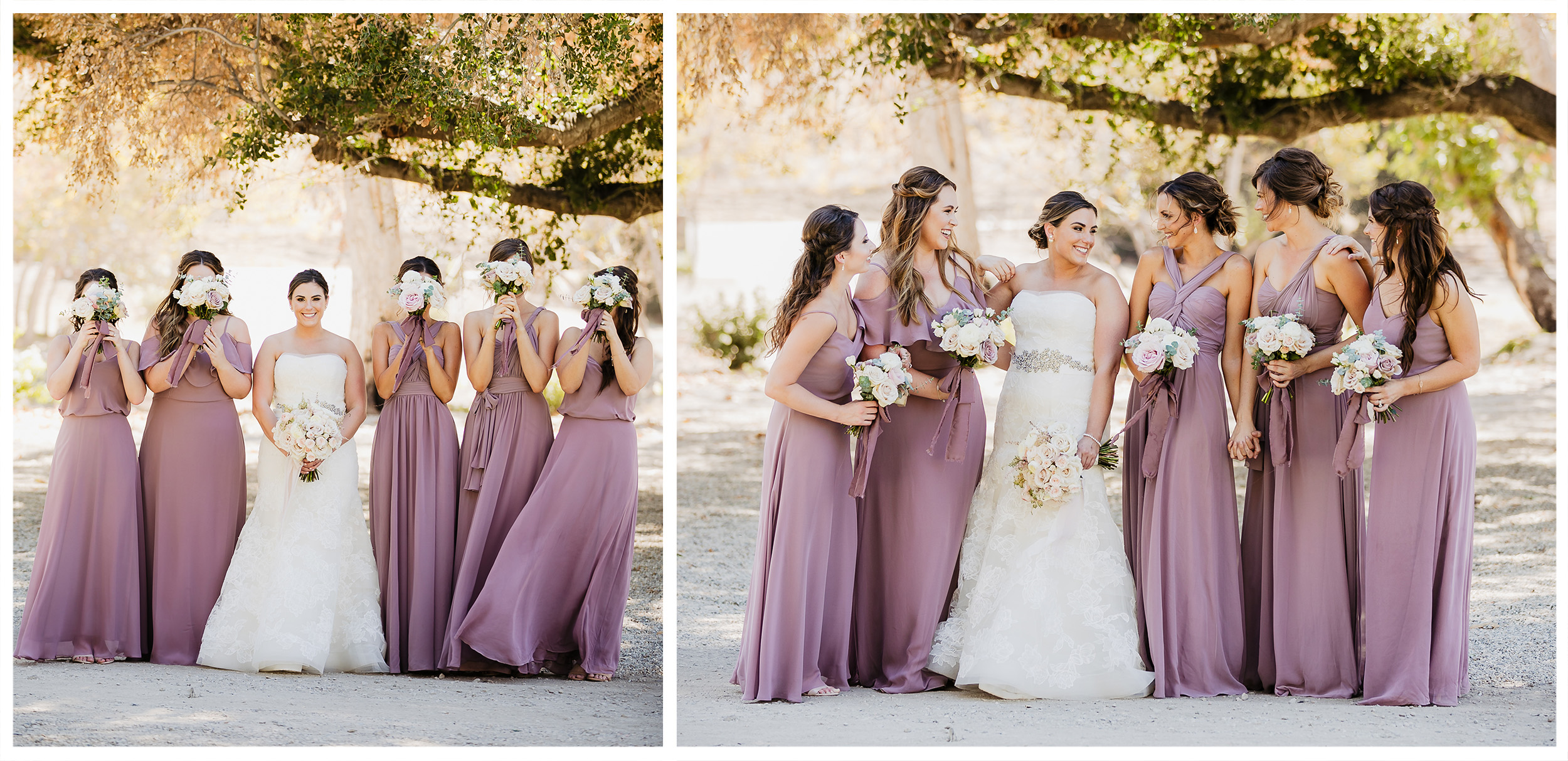 LG Triunfo Creek Vineyard Agoura Hills Wedding Photography