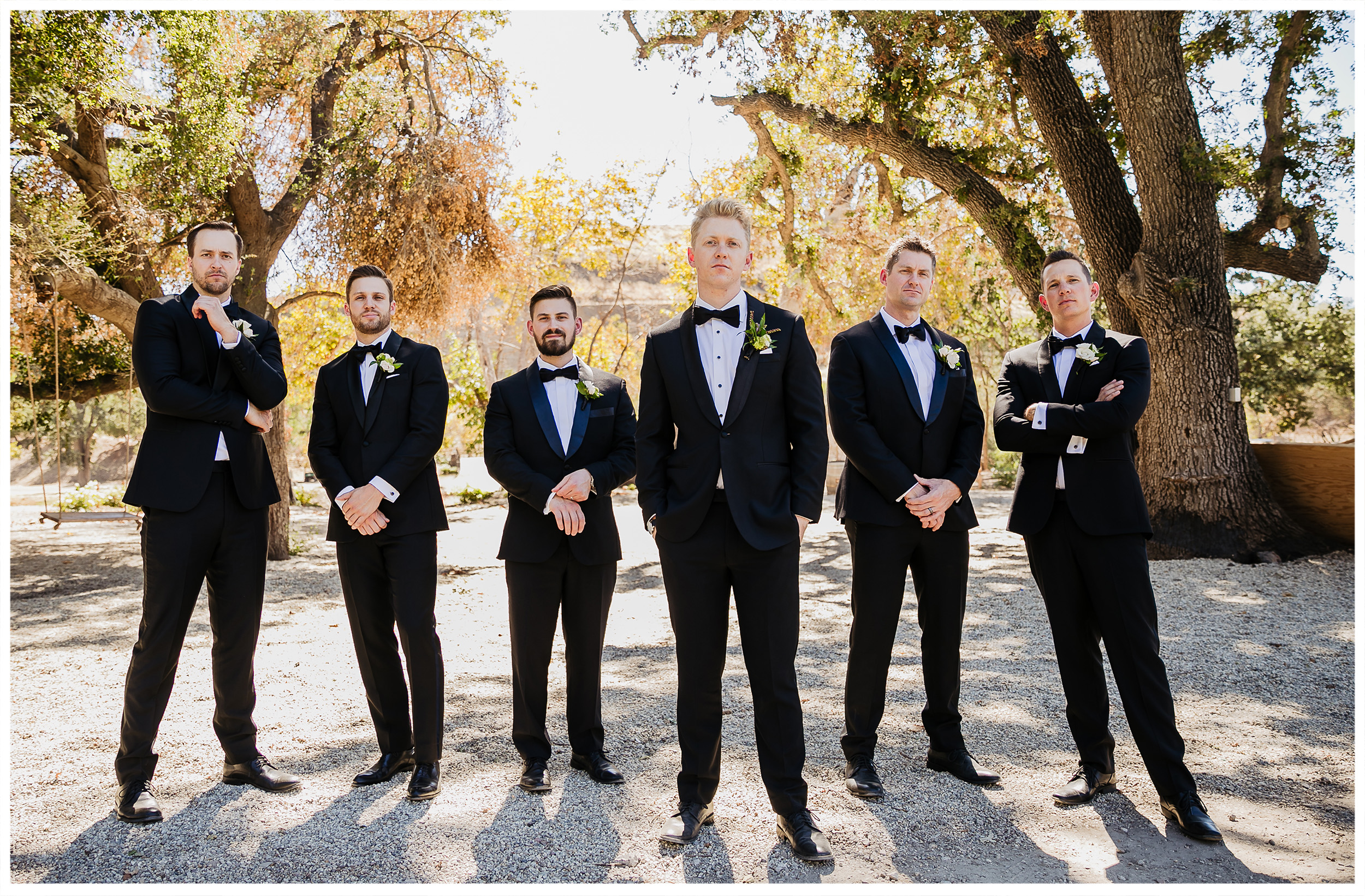 LG Triunfo Creek Vineyard Agoura Hills Wedding Photography