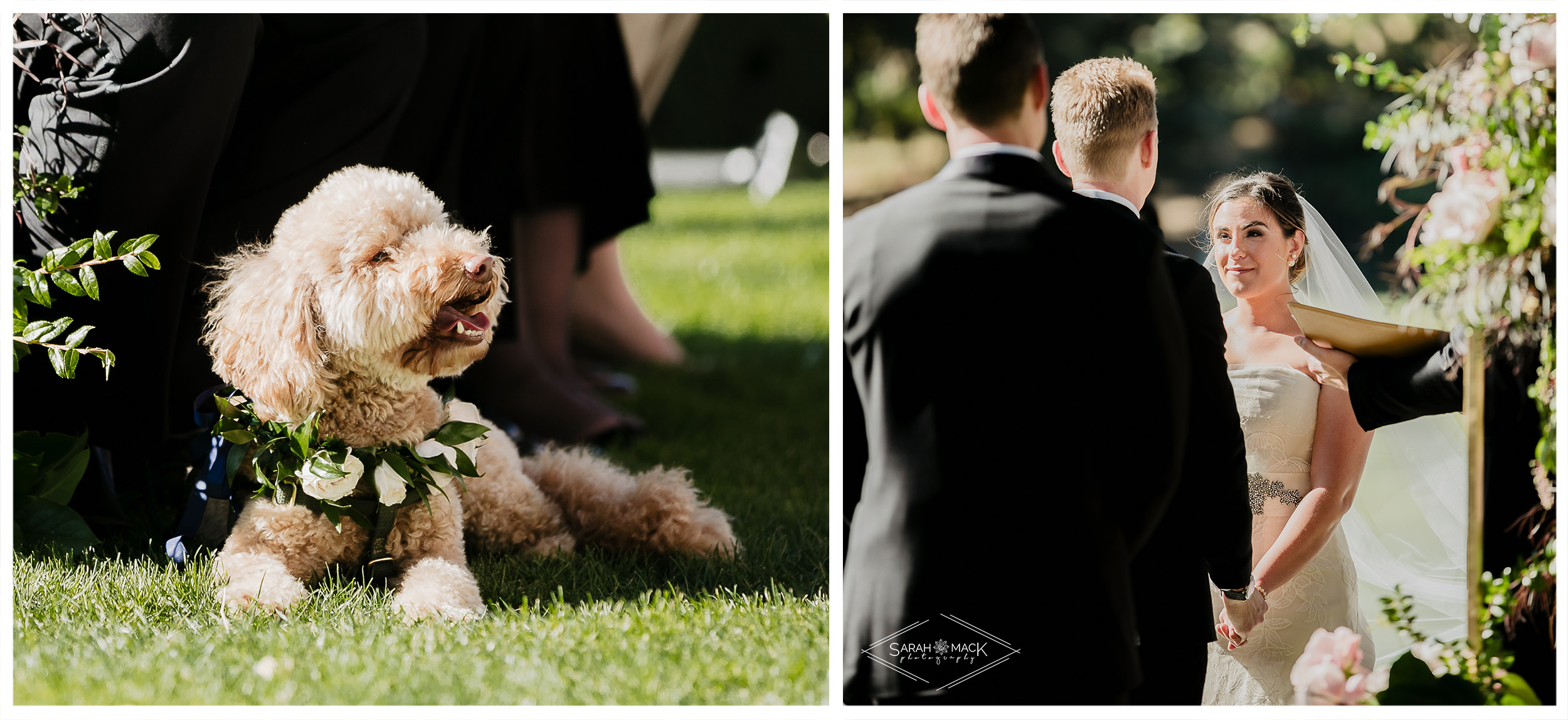 LG Triunfo Creek Vineyard Agoura Hills Wedding Photography