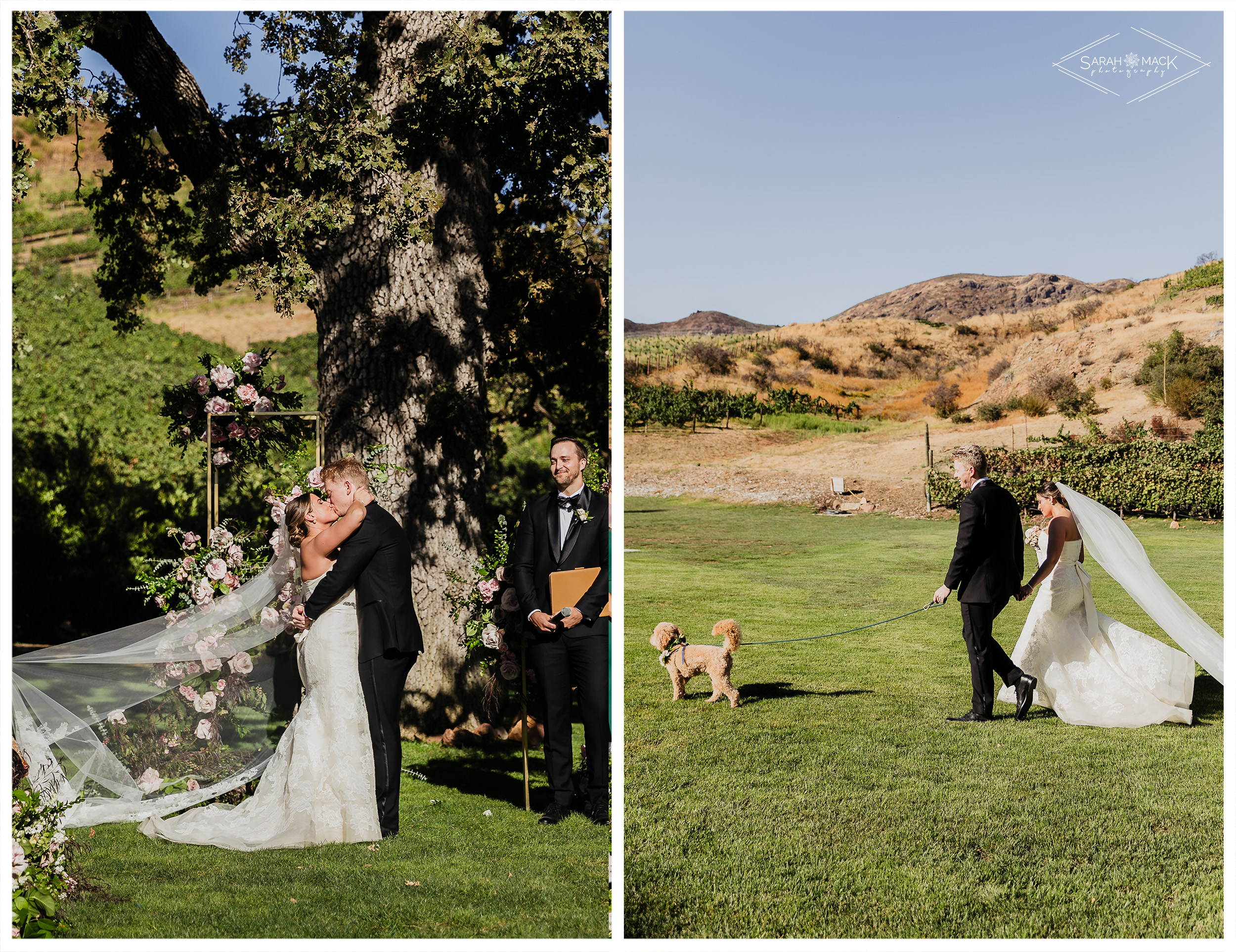 LG Triunfo Creek Vineyard Agoura Hills Wedding Photography