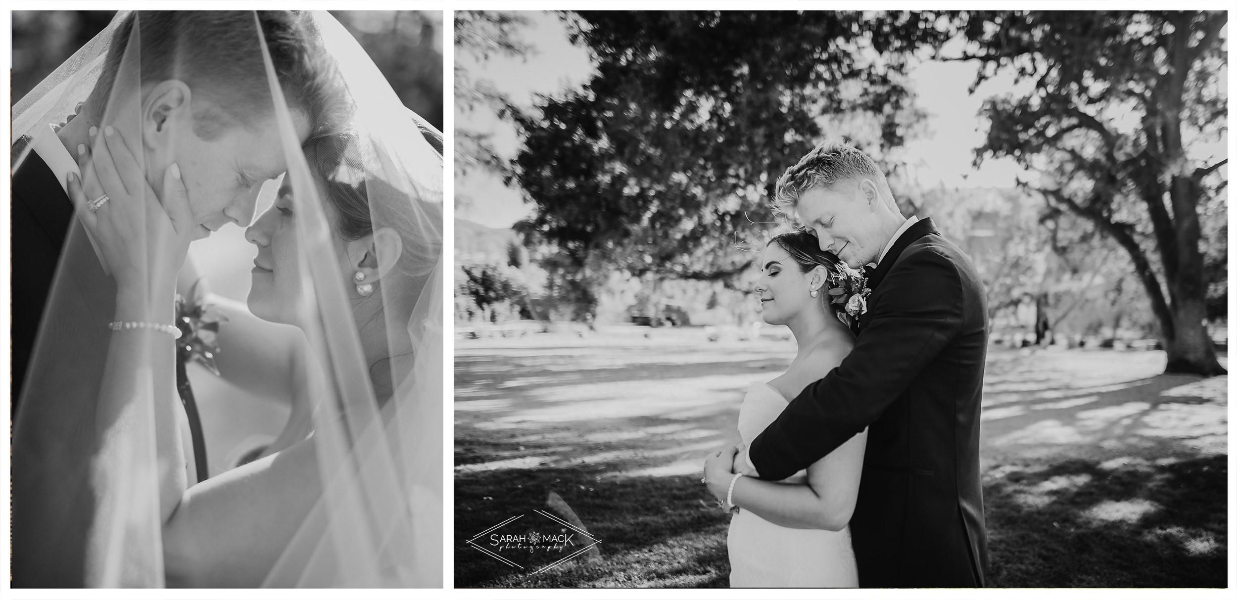 LG Triunfo Creek Vineyard Agoura Hills Wedding Photography