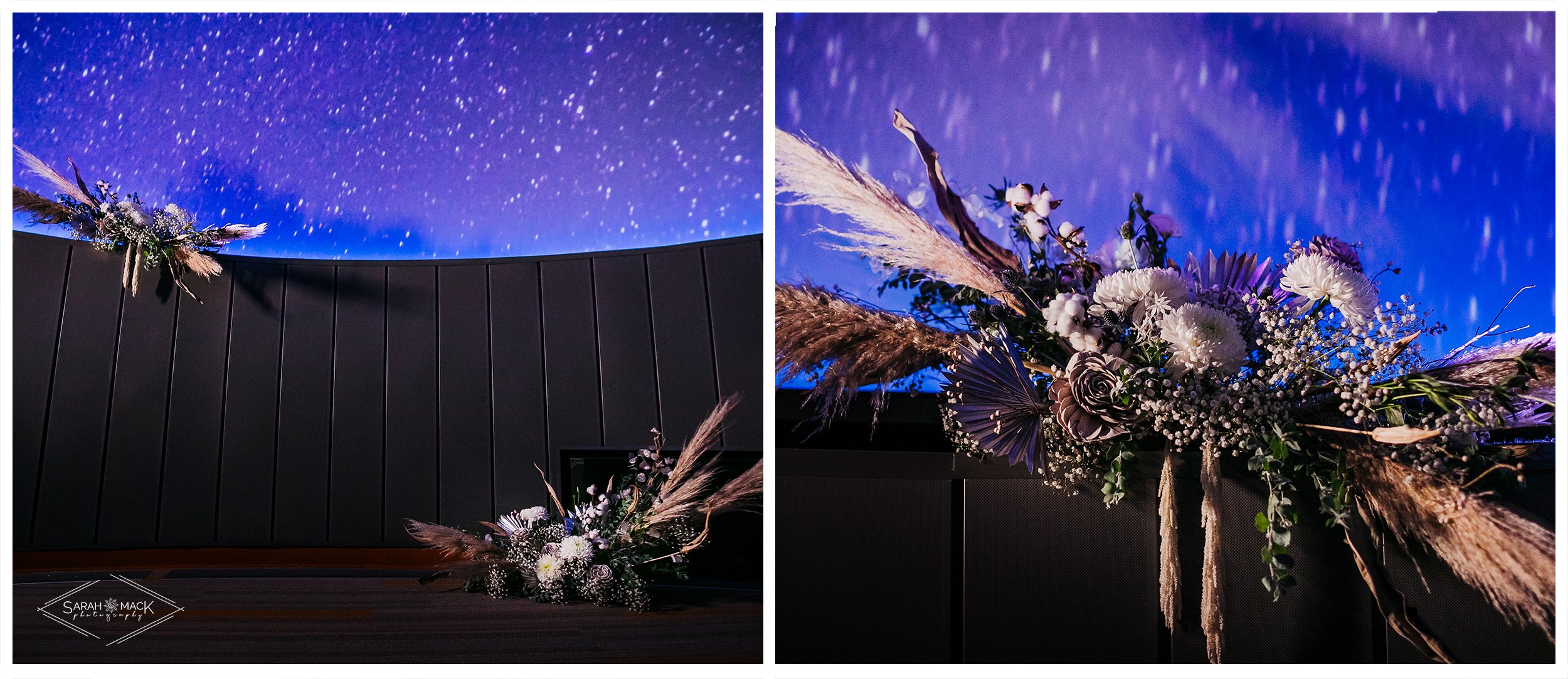 FR OCC Planetarium Wedding Photography