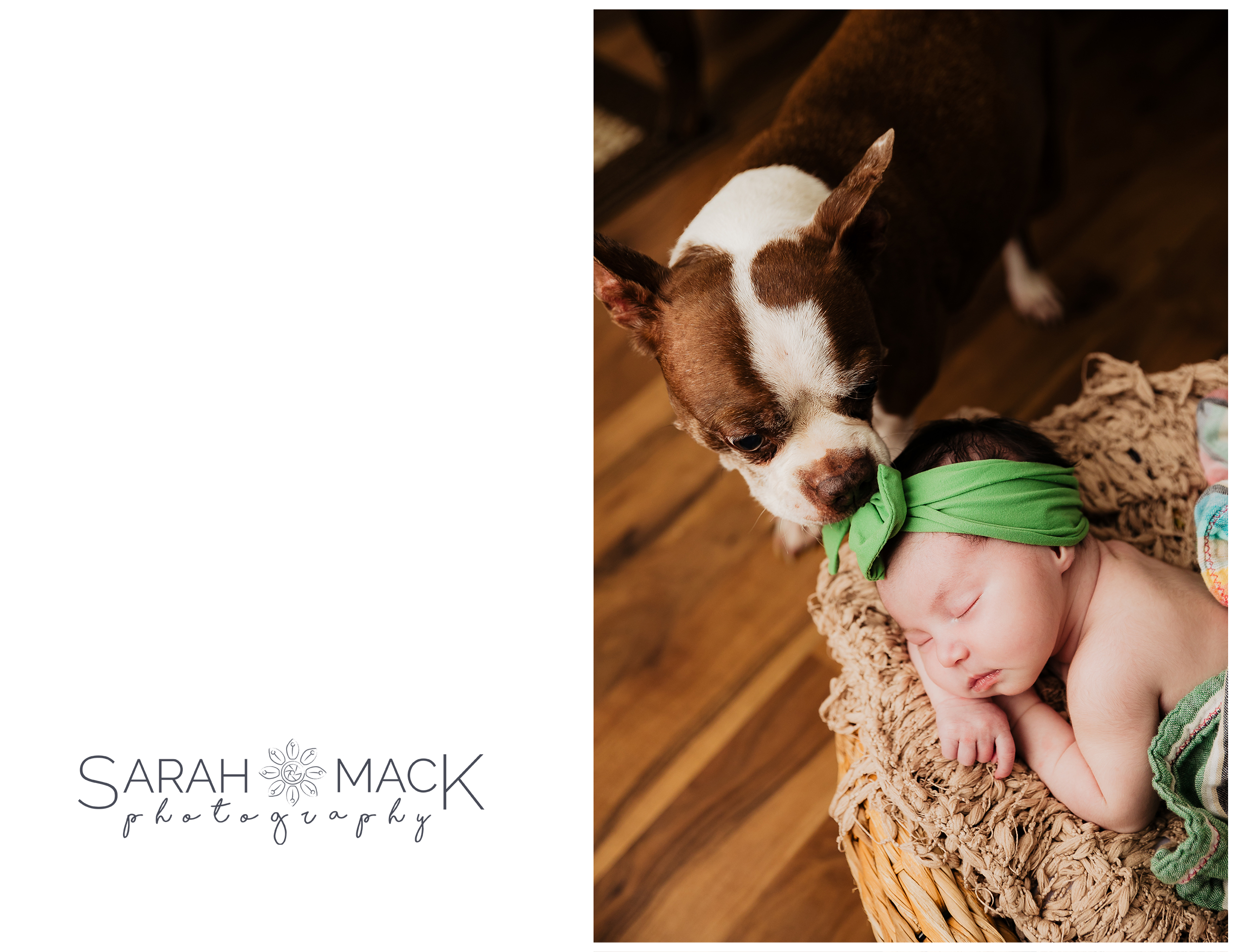 K Orange County Newborn Photography