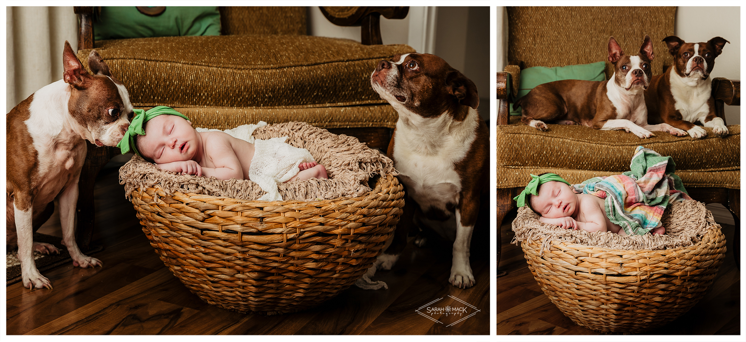 K Orange County Newborn Photography