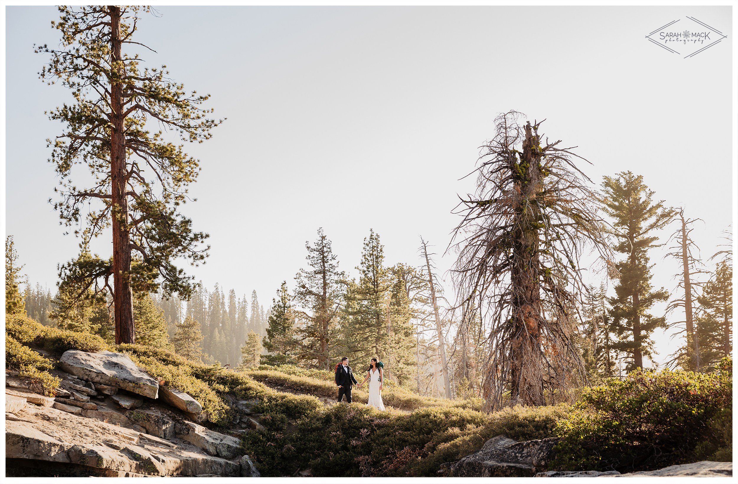 NC Tenaya Lodge Yosemite Wedding Photography