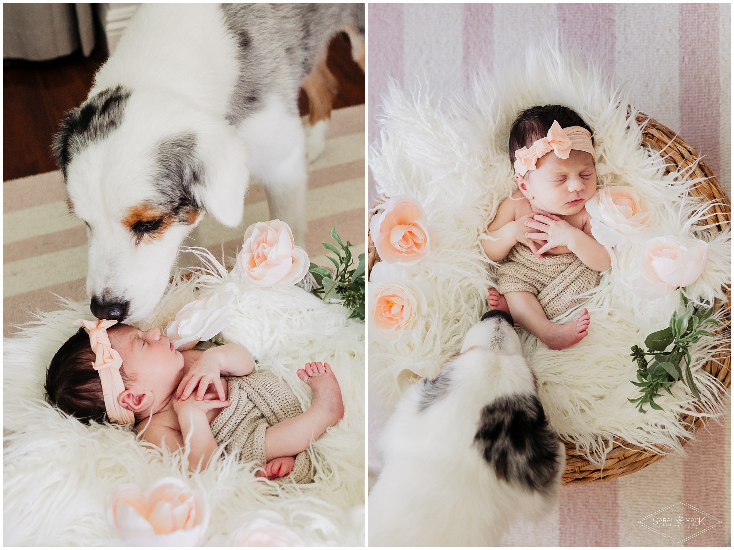 H Orange County Newborn Photography