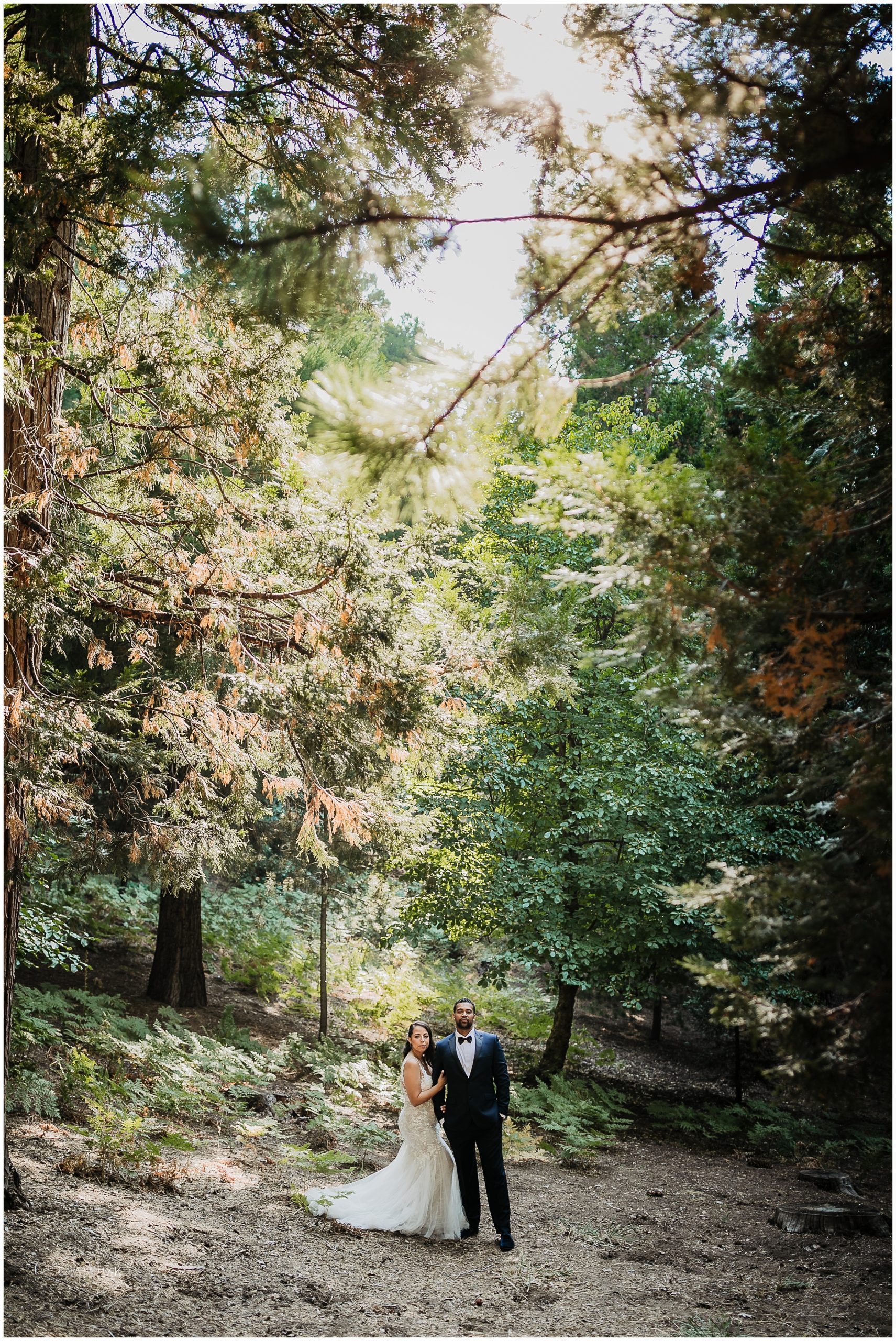 MD Castle in the Forest Big Bear Wedding Photography