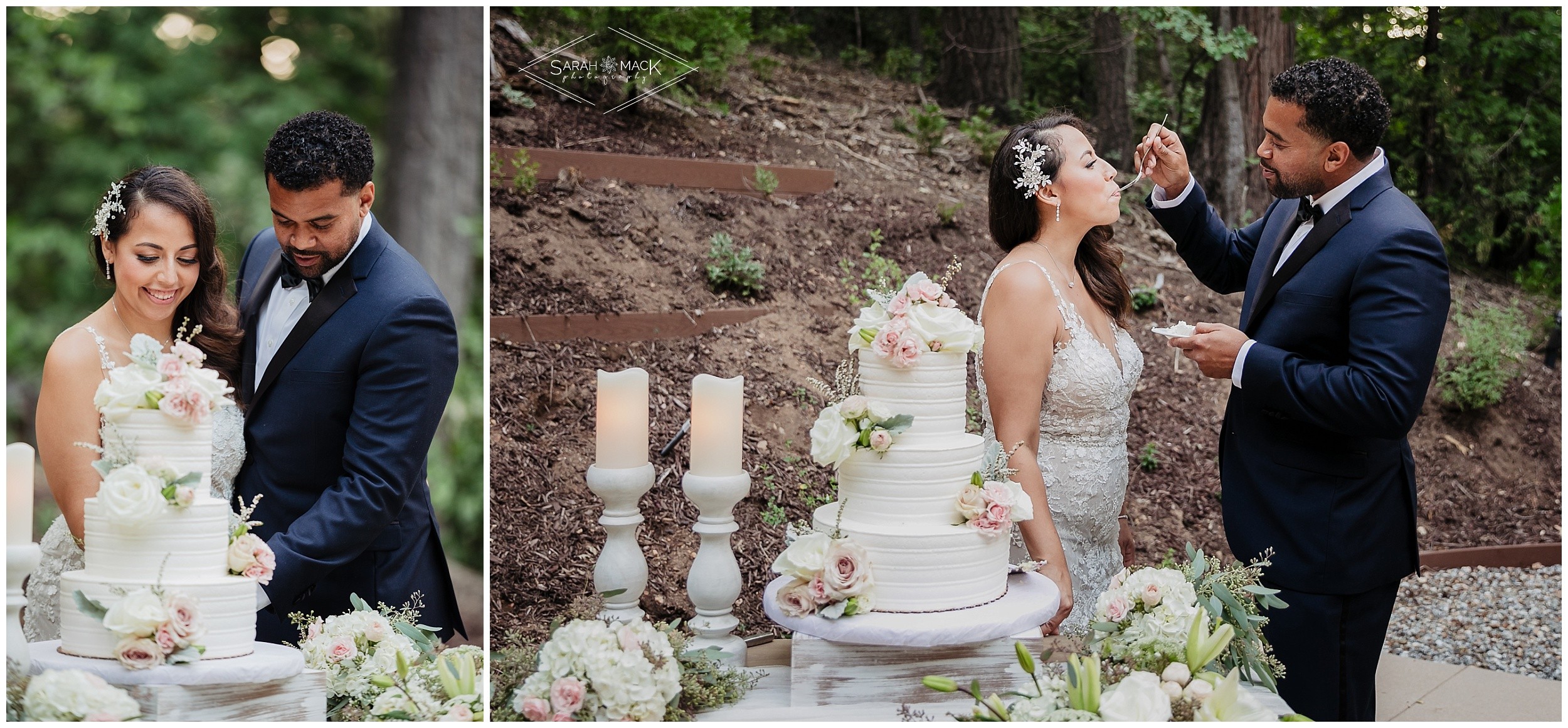 MD Castle in the Forest Big Bear Wedding Photography